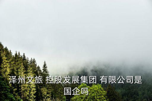 澤州文旅 控股發(fā)展集團 有限公司是國企嗎