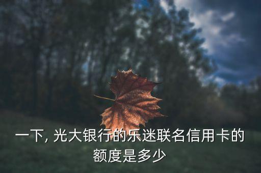 一下, 光大銀行的樂(lè)迷聯(lián)名信用卡的額度是多少