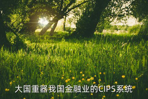 大國(guó)重器我國(guó)金融業(yè)的CIPS系統(tǒng)