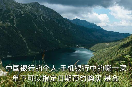 中國銀行的個人 手機銀行中的哪一菜單下可以指定日期預約購買 基金