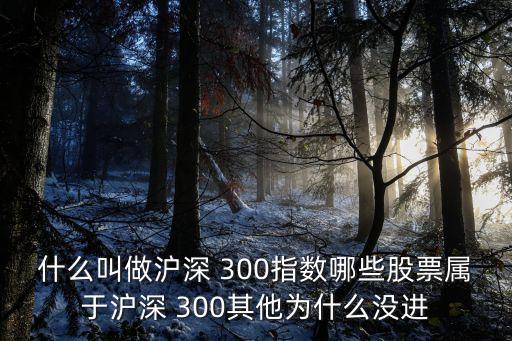 什么叫做滬深 300指數(shù)哪些股票屬于滬深 300其他為什么沒(méi)進(jìn)