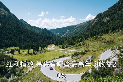 紅利指數(shù) 基金有哪些最高年均收益20%