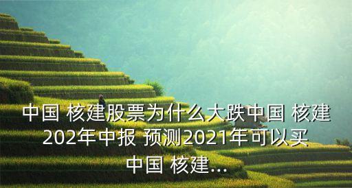 中國 核建股票為什么大跌中國 核建202年中報(bào) 預(yù)測(cè)2021年可以買中國 核建...