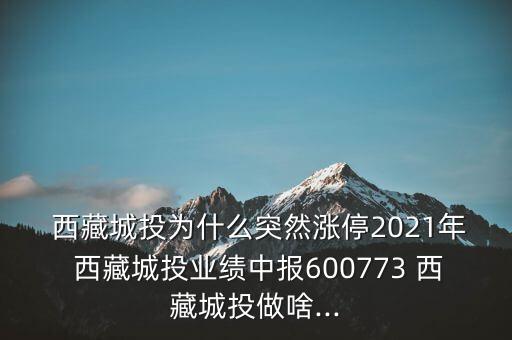  西藏城投為什么突然漲停2021年 西藏城投業(yè)績中報600773 西藏城投做啥...