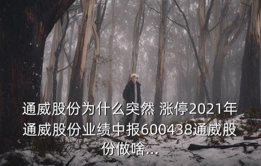 通威股份為什么突然 漲停2021年通威股份業(yè)績中報(bào)600438通威股份做啥...