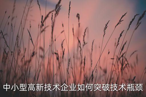 西安中小民營(yíng)公司代表,西安民營(yíng)火箭公司