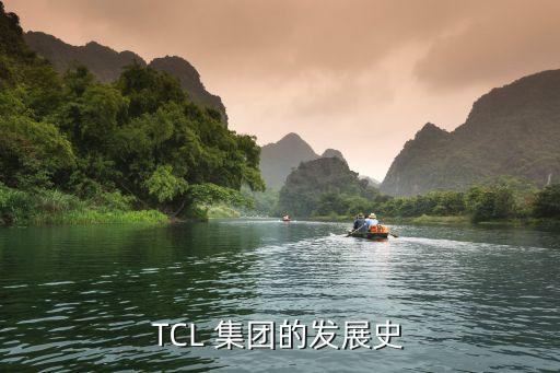 TCL 集團(tuán)的發(fā)展史