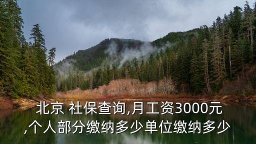 北京社保查個(gè)人所得稅,北京查社保繳費(fèi)記錄怎么查