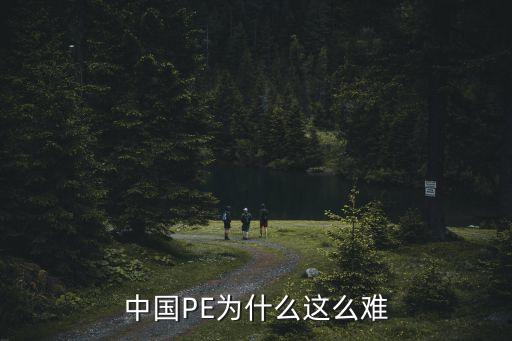 中國PE為什么這么難