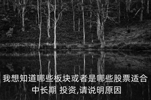 我想知道哪些板塊或者是哪些股票適合 中長(zhǎng)期 投資,請(qǐng)說(shuō)明原因