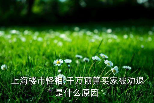  上海樓市怪相,千萬(wàn)預(yù)算買(mǎi)家被勸退是什么原因