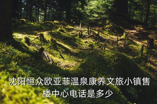  沈陽恒眾歐亞菲溫泉康養(yǎng)文旅小鎮(zhèn)售樓中心電話是多少