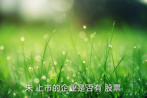 未 上市的企業(yè)是否有 股票