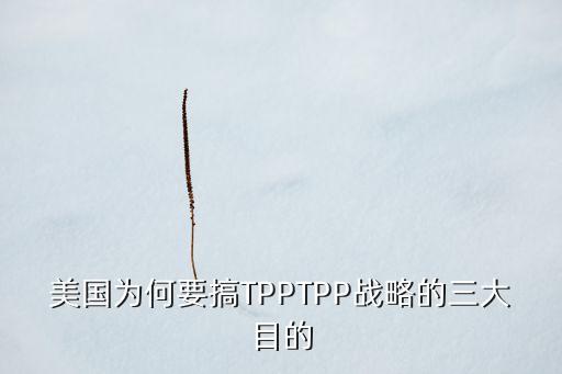 美國(guó)為何要搞TPPTPP戰(zhàn)略的三大目的