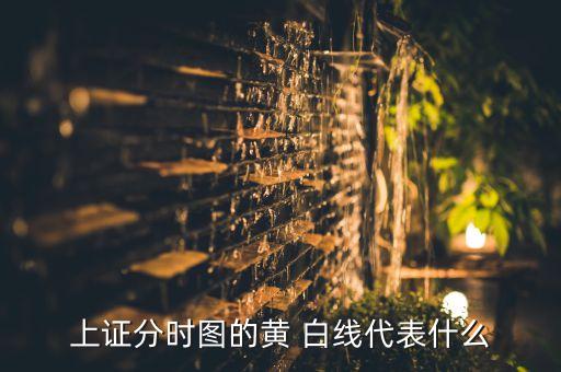 上證分時(shí)圖的黃 白線(xiàn)代表什么