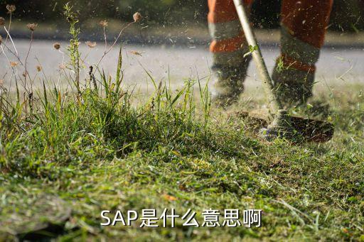 Sap中公司是如何建立的,sap如何刪除公司