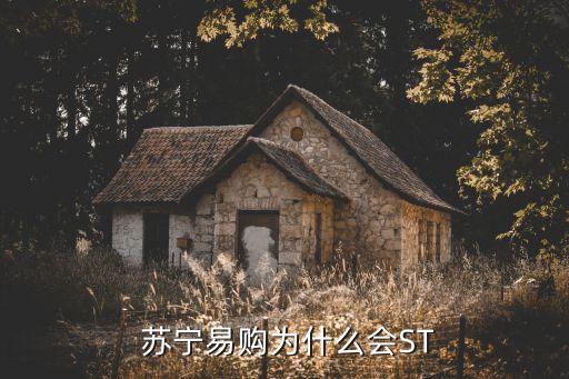 蘇寧旗下上市公司,蘇寧易購是a股上市公司嗎