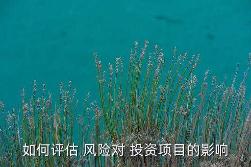 如何評(píng)估 風(fēng)險(xiǎn)對(duì) 投資項(xiàng)目的影響