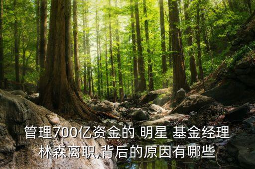 管理700億資金的 明星 基金經(jīng)理林森離職,背后的原因有哪些