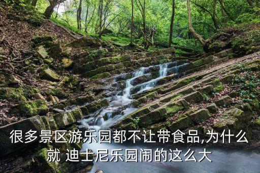 很多景區(qū)游樂園都不讓帶食品,為什么就 迪士尼樂園鬧的這么大