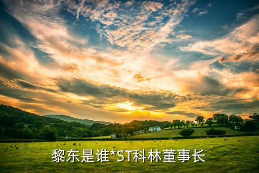 黎東是誰(shuí)*ST科林董事長(zhǎng)