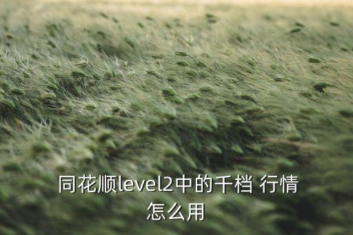  同花順level2中的千檔 行情怎么用