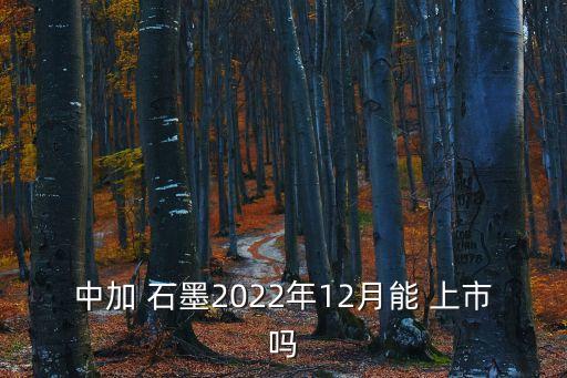 中加 石墨2022年12月能 上市嗎