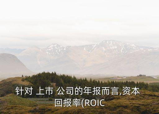 針對 上市 公司的年報而言,資本 回報率(ROIC