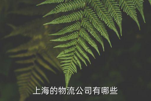 上海的物流公司有哪些