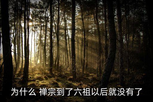 為什么 禪宗到了六祖以后就沒(méi)有了