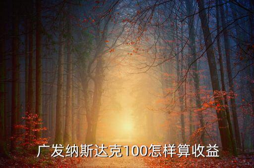  廣發(fā)納斯達(dá)克100怎樣算收益