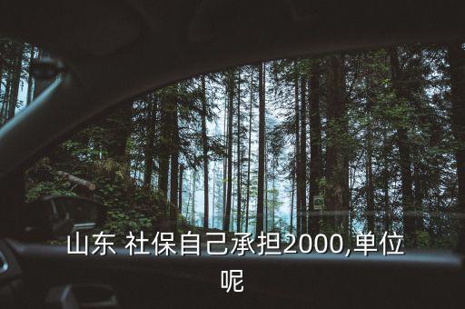  山東 社保自己承擔2000,單位呢