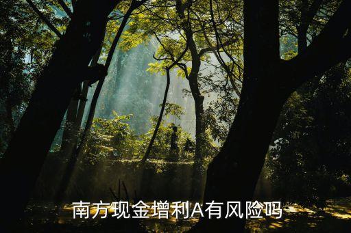  南方現(xiàn)金增利A有風(fēng)險(xiǎn)嗎