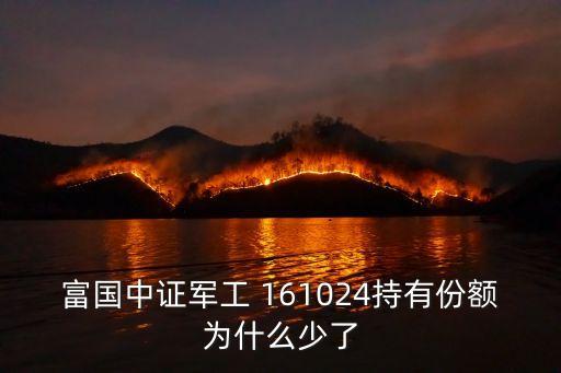 富國(guó)中證軍工 161024持有份額為什么少了