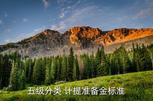 五級(jí)分類(lèi) 計(jì)提準(zhǔn)備金標(biāo)準(zhǔn)