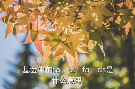  基金中的ta、tz、fa、ds是什么意思