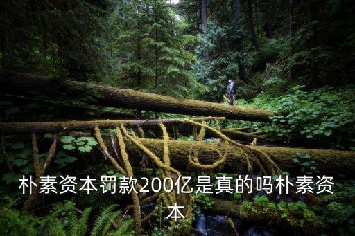 樸素資本罰款200億是真的嗎樸素資本