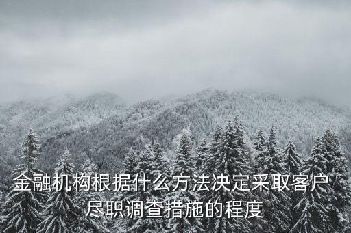 金融機(jī)構(gòu)根據(jù)什么方法決定采取客戶 盡職調(diào)查措施的程度