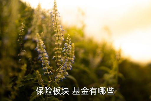 保險(xiǎn)板塊 基金有哪些