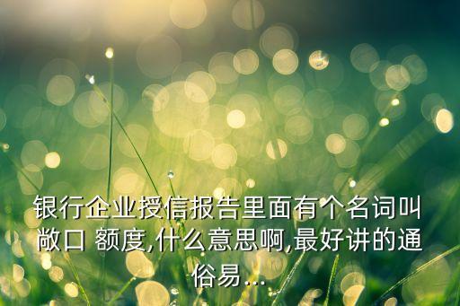  銀行企業(yè)授信報告里面有個名詞叫 敞口 額度,什么意思啊,最好講的通俗易...