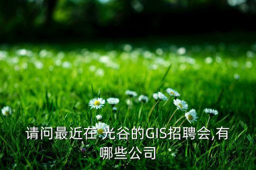 請問最近在 光谷的GIS招聘會(huì),有哪些公司