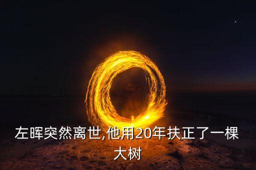 左暉突然離世,他用20年扶正了一棵大樹(shù)