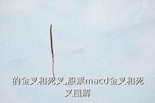 股票的金叉和死叉,股票macd金叉和死叉圖解