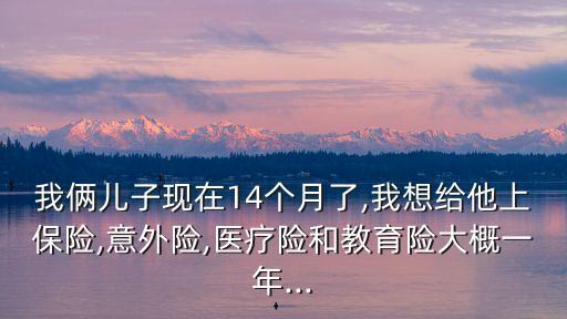 我倆兒子現(xiàn)在14個(gè)月了,我想給他上保險(xiǎn),意外險(xiǎn),醫(yī)療險(xiǎn)和教育險(xiǎn)大概一年...