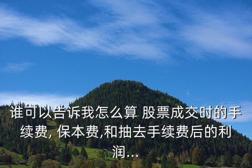 誰可以告訴我怎么算 股票成交時的手續(xù)費, 保本費,和抽去手續(xù)費后的利潤...