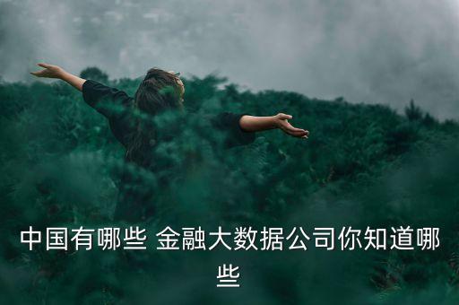 中國互聯(lián)網(wǎng)金融企業(yè),互聯(lián)網(wǎng)金融企業(yè)的社會責(zé)任