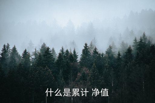 什么是累計 凈值