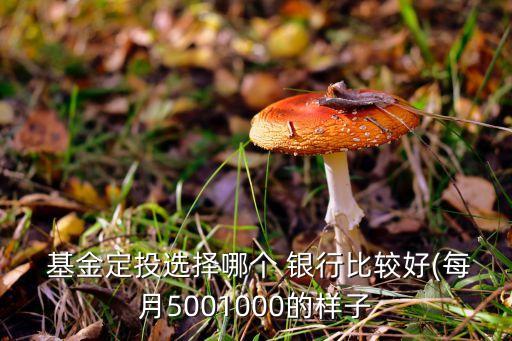  基金定投選擇哪個(gè) 銀行比較好(每月5001000的樣子