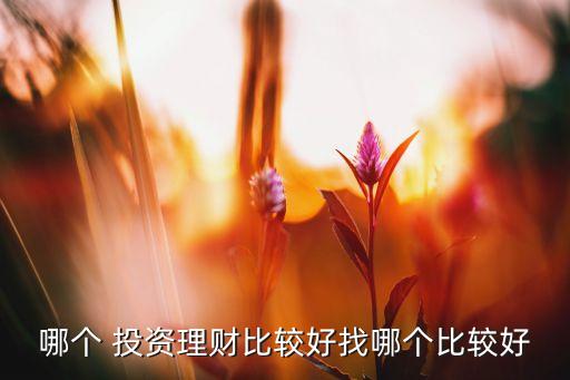 哪個(gè) 投資理財(cái)比較好找哪個(gè)比較好