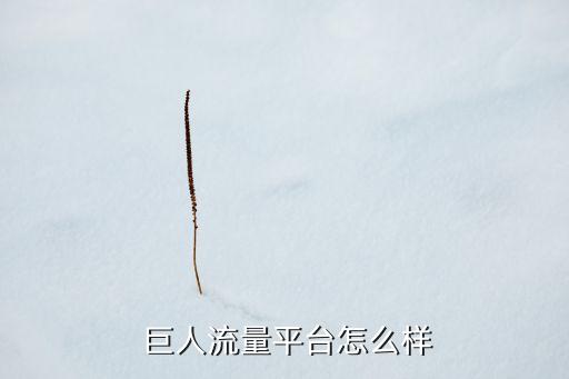 巨人網(wǎng)絡(luò)合作公司,暴雪與會(huì)不會(huì)和巨人網(wǎng)絡(luò)合作